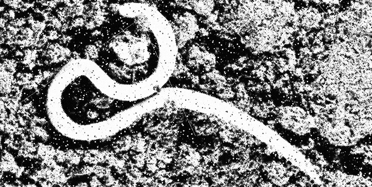 under the full moon, vol. 7 iss. 3