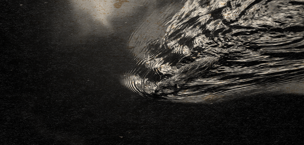 under the full moon, vol. 6. iss. 11